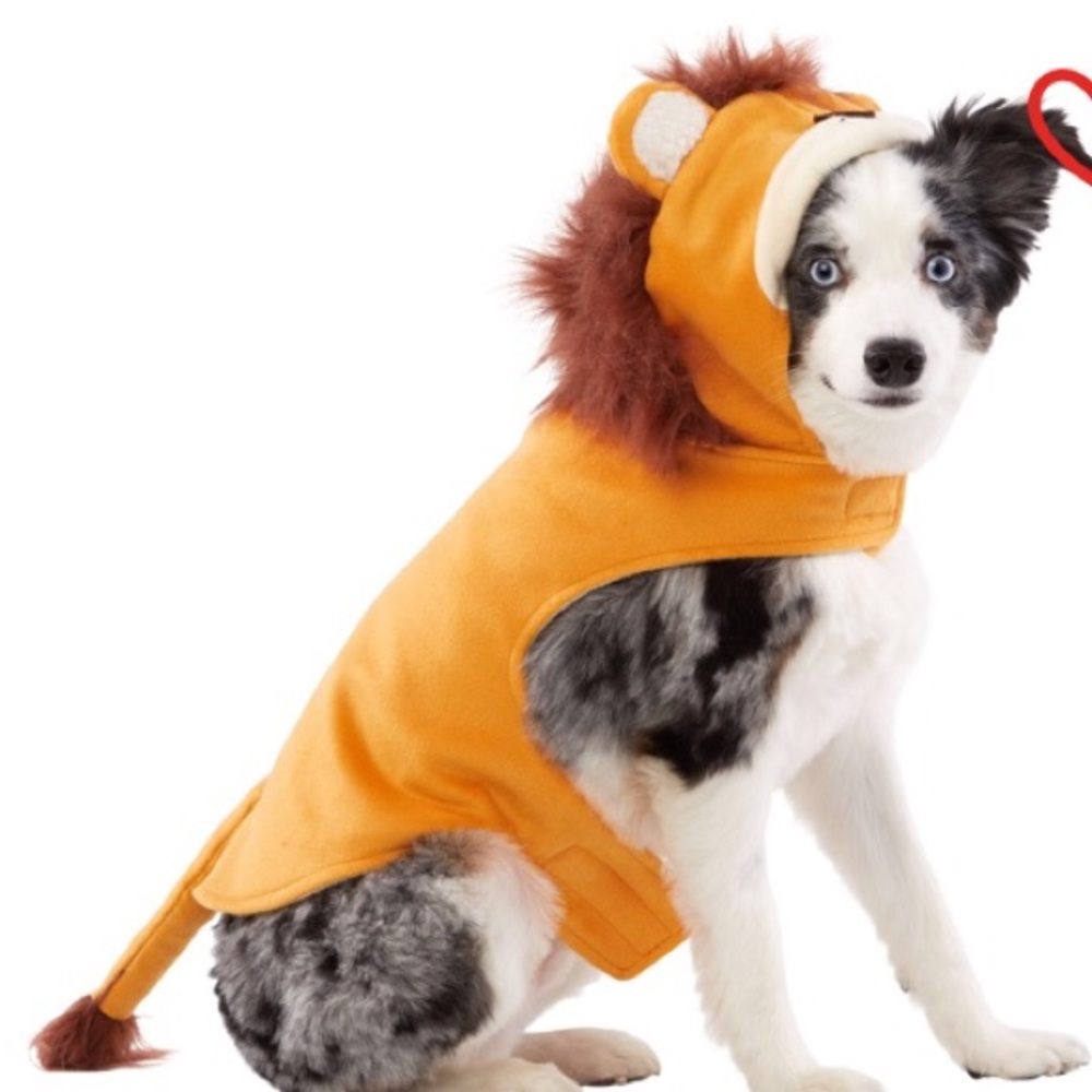 Top Paw Dog Lion Coat NEW